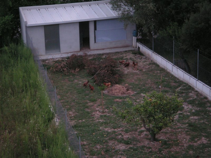 campo (38)  FOTOS IMAGENES